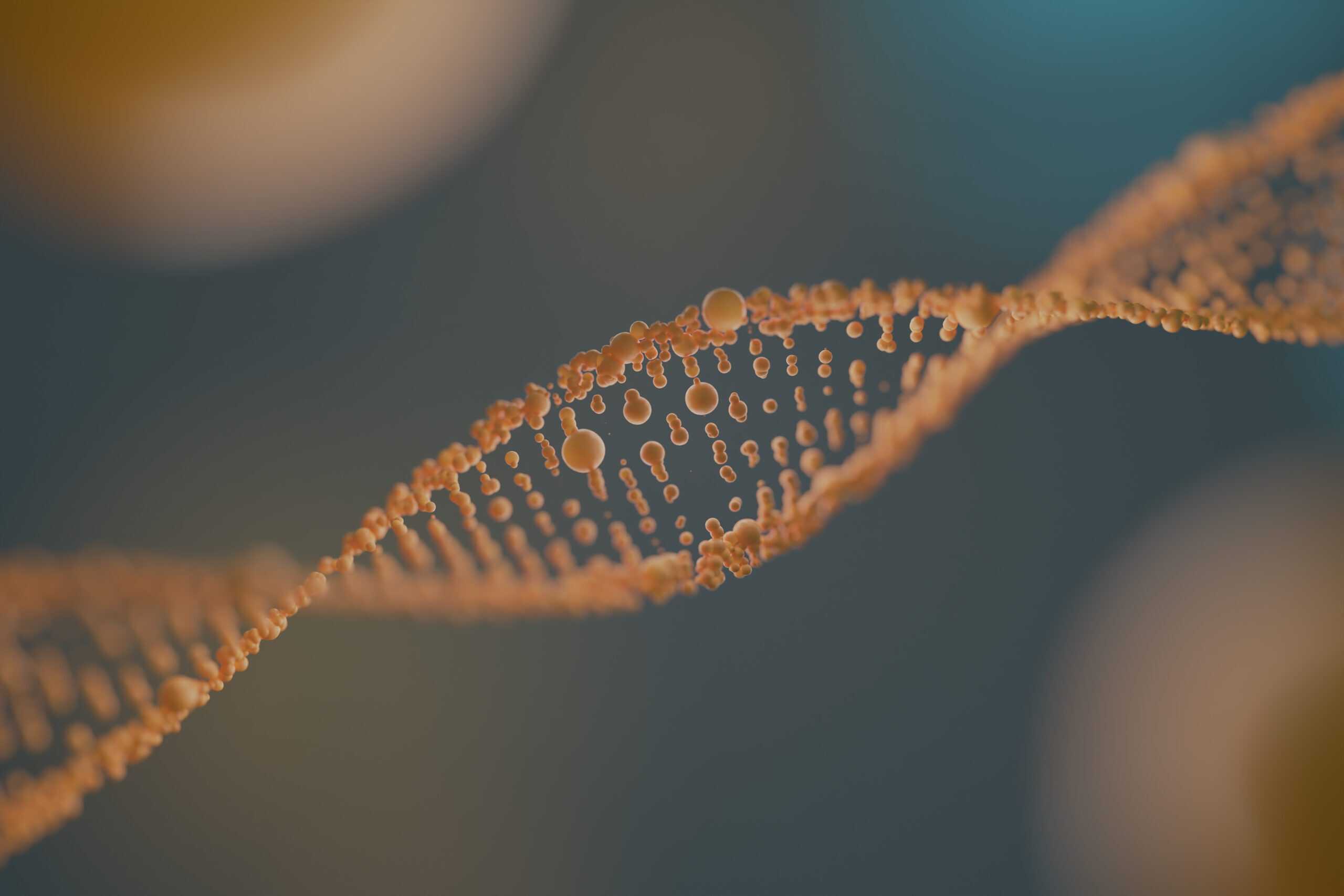 Ruolo della genetica nell’obesita’: quanto incide davvero ?